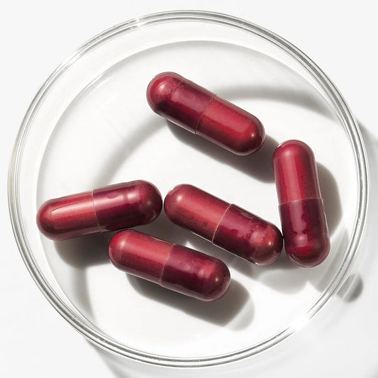 Advanced Nutrition Programme - Skin Antioxidant - Reisegröße