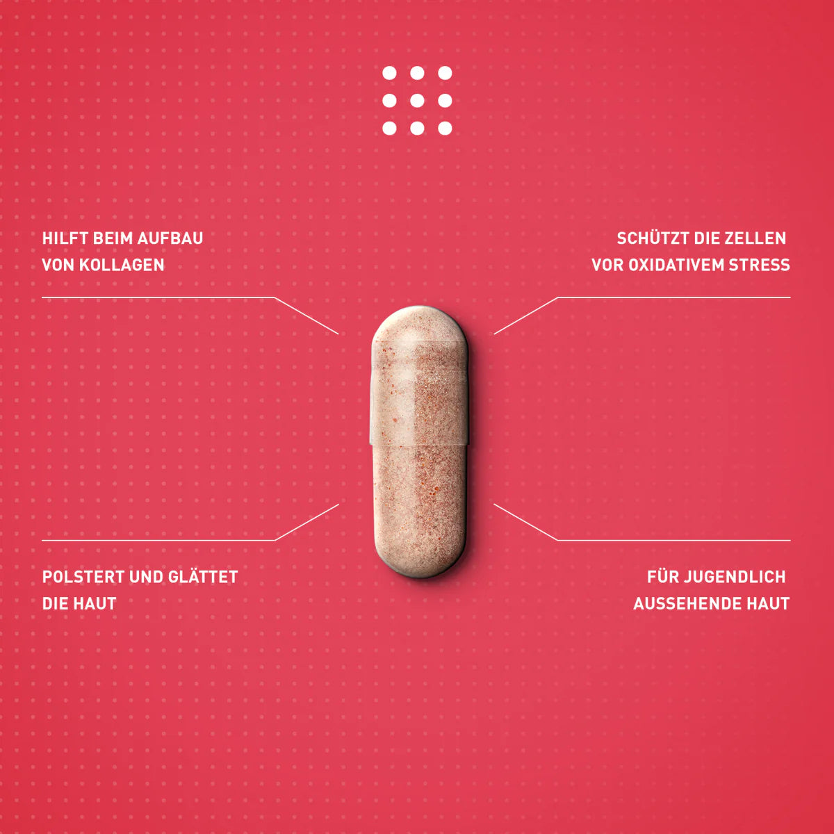 Advanced Nutrition Programme - Skin Collagen Support